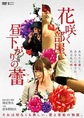 27影院 山脊线 纪录电影海报
